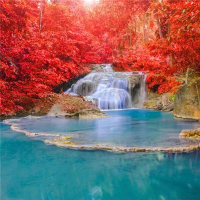 一分钟pk10赛车截图